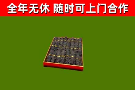 龙湾回收海参